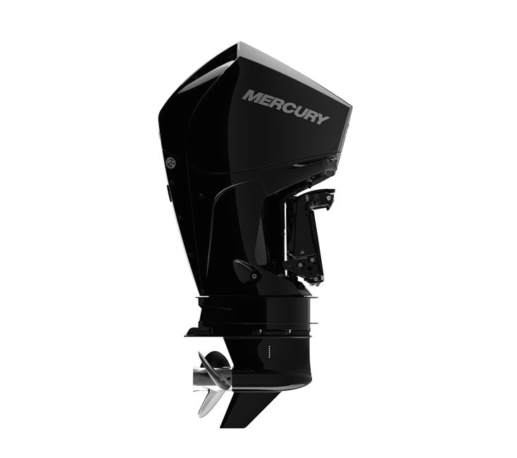 200L FourStroke DTS