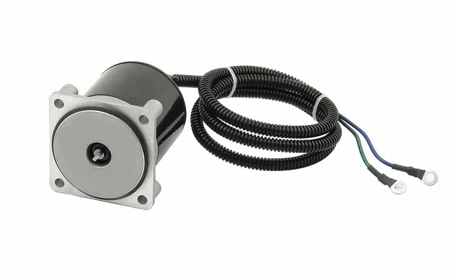 TRIM TILT MOTOR, SUZUKI