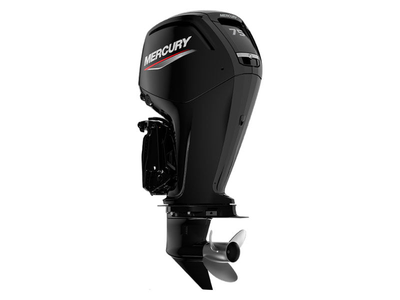 75ELPT FourStroke