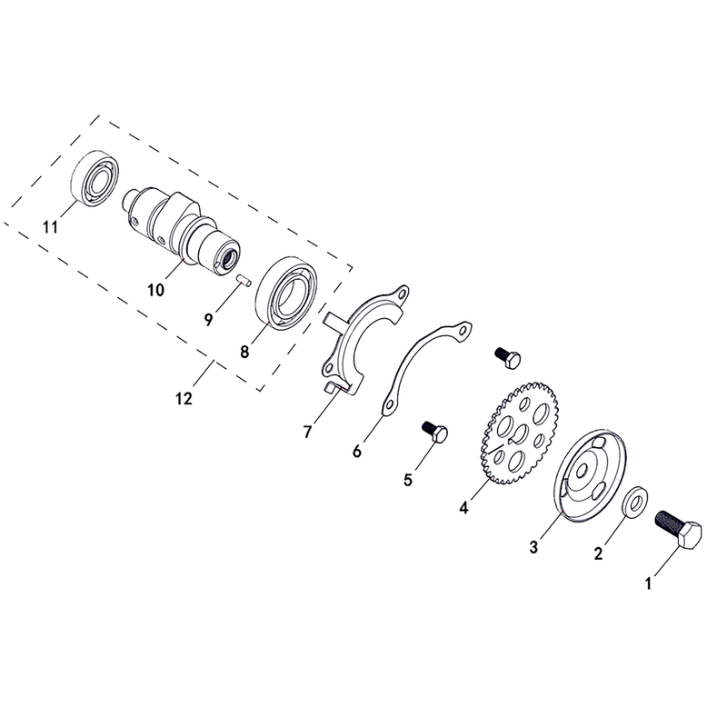 T-BOSS 410 2020 - CAMSHAFT CHAIN