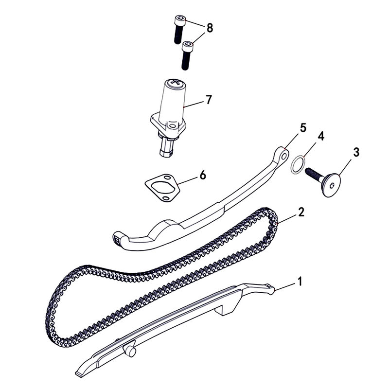 T-BOSS 410 2020 - CHAIN