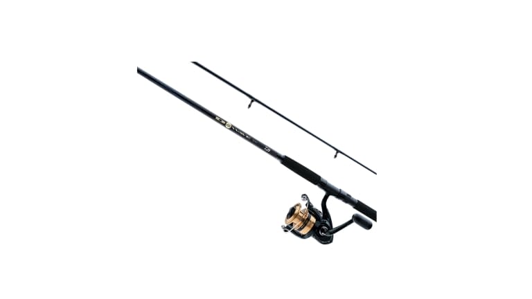 DAIWA D-WAVE SALTWATER COMBO