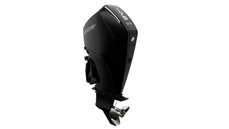 175L FourStroke DTS