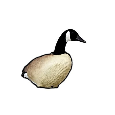 SKYFALL DECOYS Canada Goose